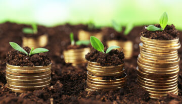 Business concept: golden coins in soil with young plants on nature background